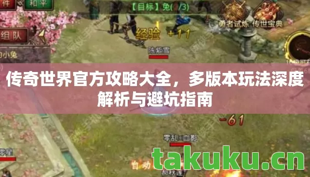多版本玩法深度解析与避坑指南图片