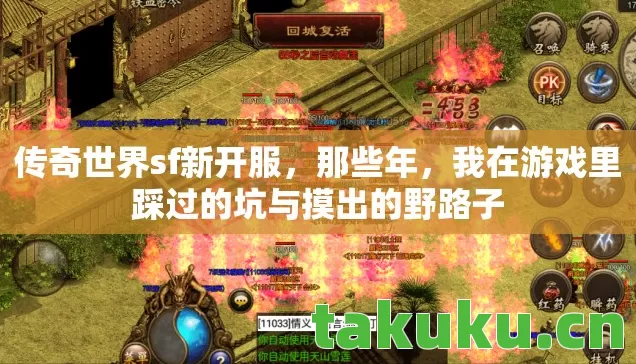 我在游戏里踩过的坑与摸出的野路子图片