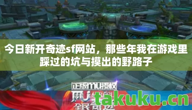 那些年我在游戏里踩过的坑与摸出的野路子图片
