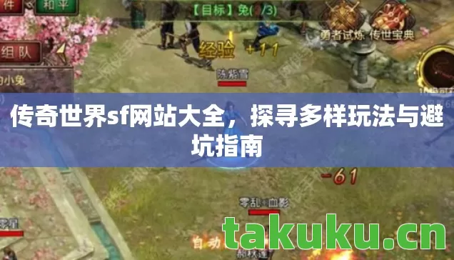 探寻多样玩法与避坑指南图片