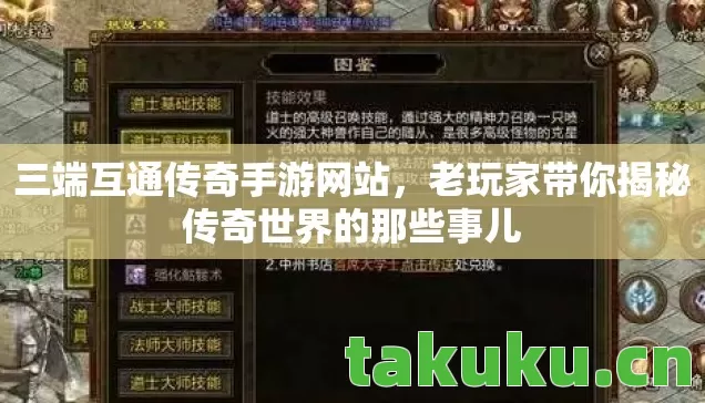 老玩家带你揭秘传奇世界的那些事儿图片