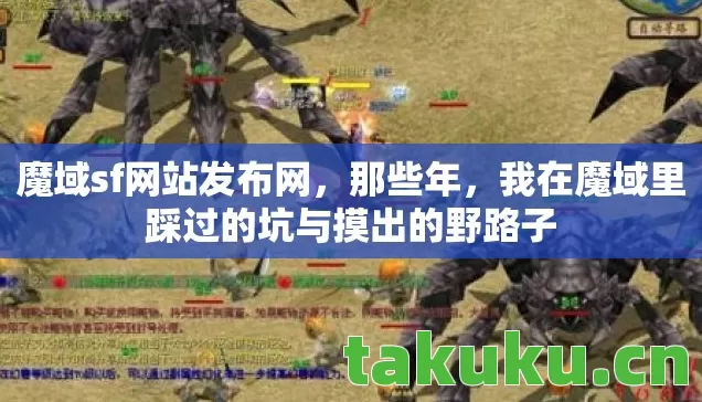 我在魔域里踩过的坑与摸出的野路子图片