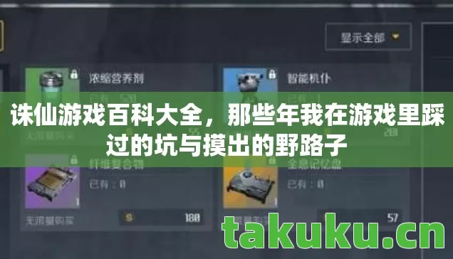 那些年我在游戏里踩过的坑与摸出的野路子图片