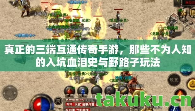 那些不为人知的入坑血泪史与野路子玩法图片