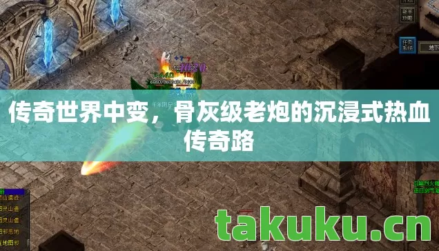 骨灰级老炮的沉浸式热血传奇路图片
