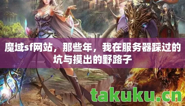 我在服务器踩过的坑与摸出的野路子图片