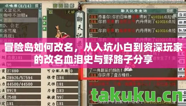 从入坑小白到资深玩家的改名血泪史与野路子分享图片