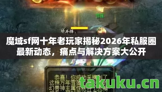 魔域sf网十年老玩家揭秘2026年私服圈最新动态图片