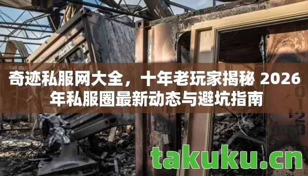 十年老玩家揭秘 2026 年私服圈最新动态与避坑指南图片