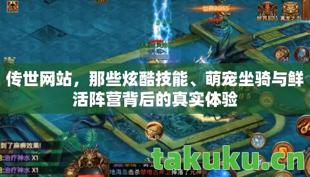 萌宠坐骑与鲜活阵营背后的真实体验图片