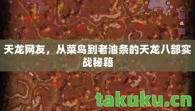从菜鸟到老油条的天龙八部实战秘籍图片