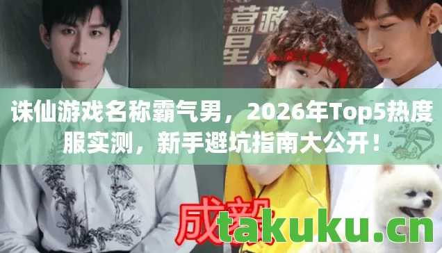 2026年Top5热度服实测图片