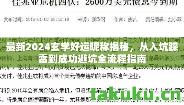 从入坑踩雷到成功避坑全流程指南图片