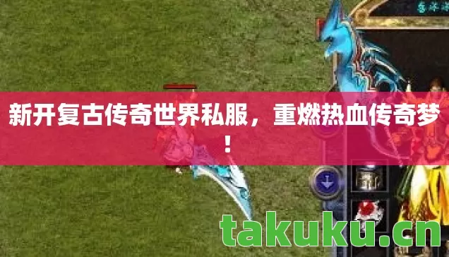 新开复古传奇世界私服图片
