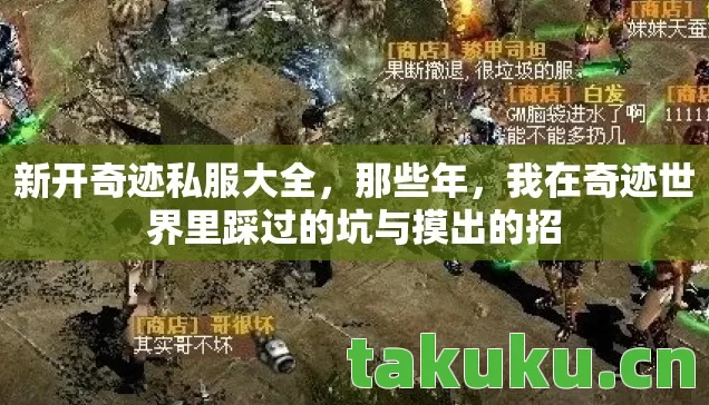 我在奇迹世界里踩过的坑与摸出的招图片