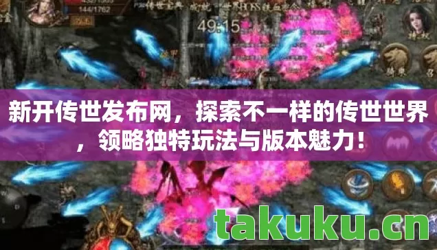 领略独特玩法与版本魅力图片
