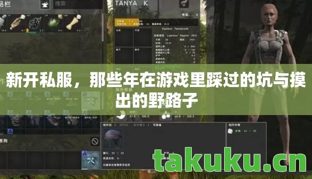 那些年在游戏里踩过的坑与摸出的野路子图片