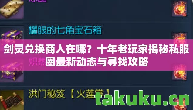 十年老玩家揭秘私服圈最新动态与寻找攻略图片