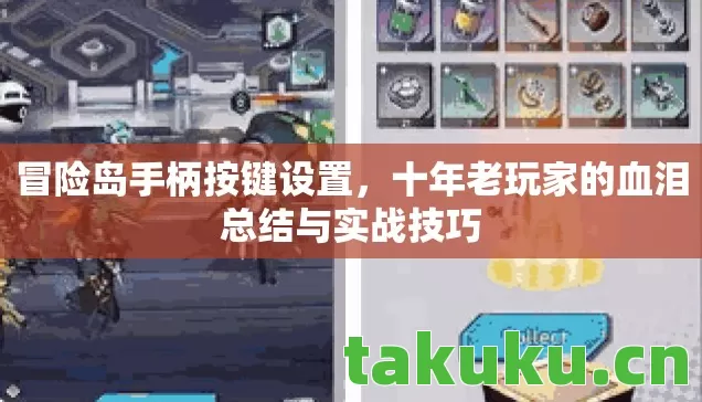 十年老玩家的血泪总结与实战技巧图片