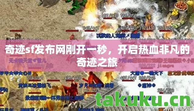 奇迹sf发布网刚开一秒图片