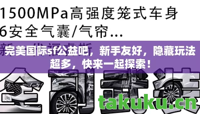 完美国际sf公益吧图片