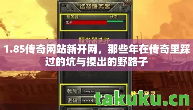 那些年在传奇里踩过的坑与摸出的野路子图片