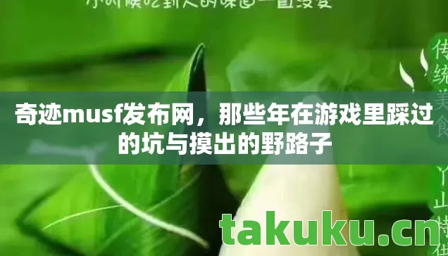 那些年在游戏里踩过的坑与摸出的野路子图片