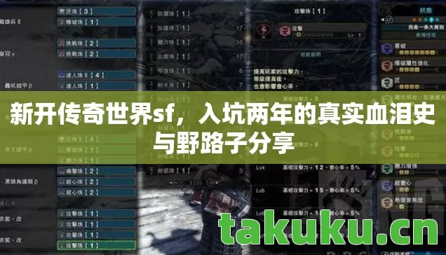 入坑两年的真实血泪史与野路子分享图片
