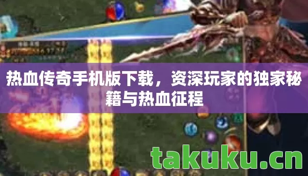 资深玩家的独家秘籍与热血征程图片