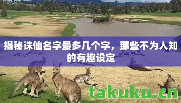 揭秘诛仙名字最多几个字图片