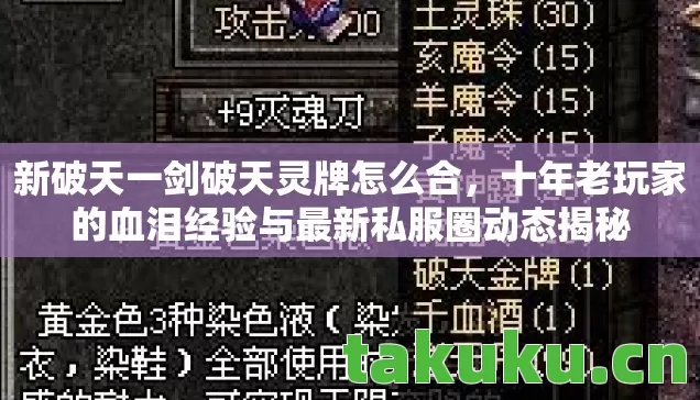 十年老玩家的血泪经验与最新私服圈动态揭秘图片
