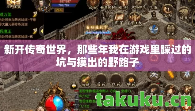 那些年我在游戏里踩过的坑与摸出的野路子图片