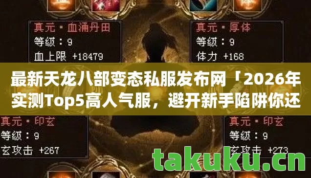 2026年实测Top5高人气服图片