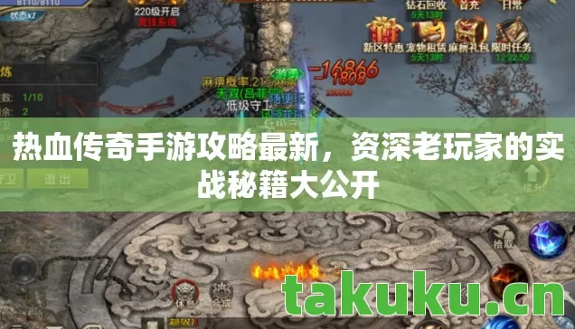 资深老玩家的实战秘籍大公开图片