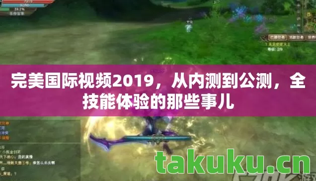 完美国际视频2019图片