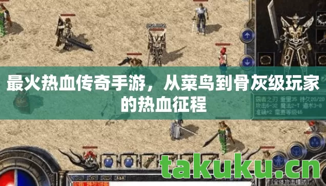从菜鸟到骨灰级玩家的热血征程图片