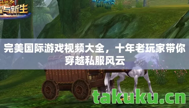 十年老玩家带你穿越私服风云图片