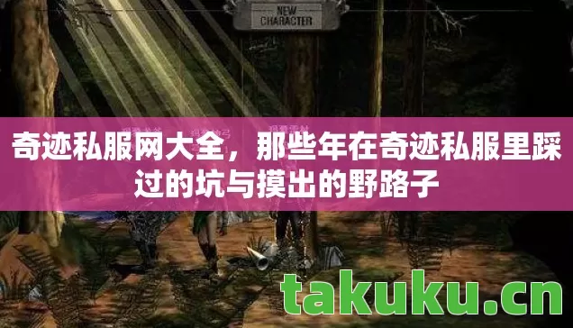 那些年在奇迹私服里踩过的坑与摸出的野路子图片