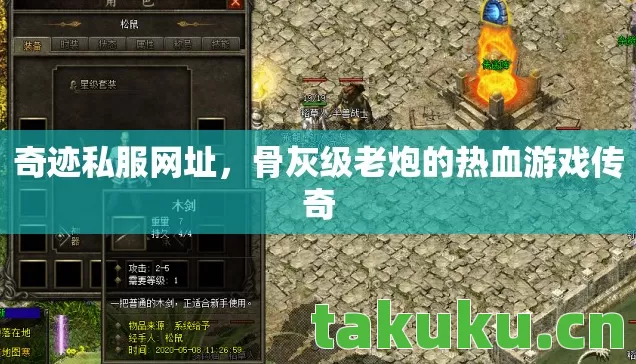 骨灰级老炮的热血游戏传奇图片