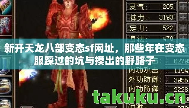 那些年在变态服踩过的坑与摸出的野路子图片