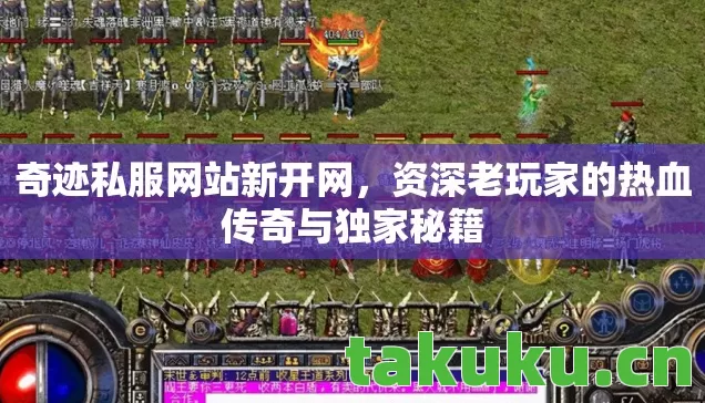 资深老玩家的热血传奇与独家秘籍图片