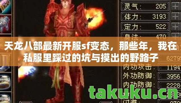 我在私服里踩过的坑与摸出的野路子图片