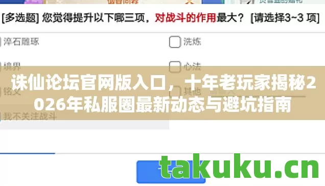 十年老玩家揭秘2026年私服圈最新动态与避坑指南图片