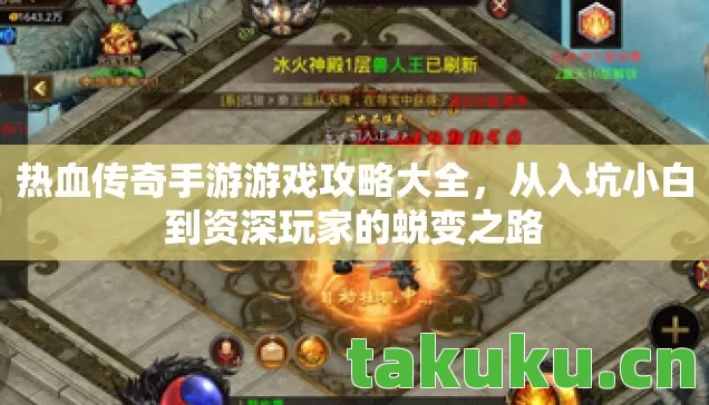 从入坑小白到资深玩家的蜕变之路图片