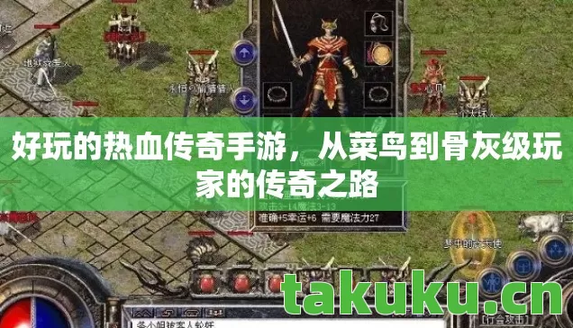 从菜鸟到骨灰级玩家的传奇之路图片