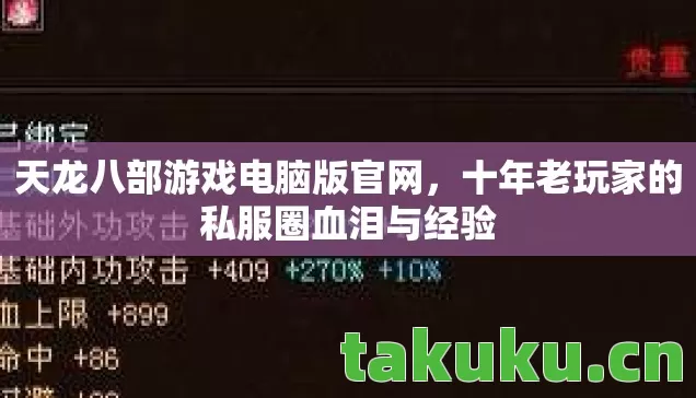 十年老玩家的私服圈血泪与经验图片
