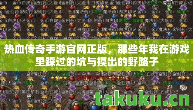 那些年我在游戏里踩过的坑与摸出的野路子图片