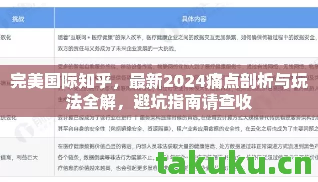 最新2024痛点剖析与玩法全解图片