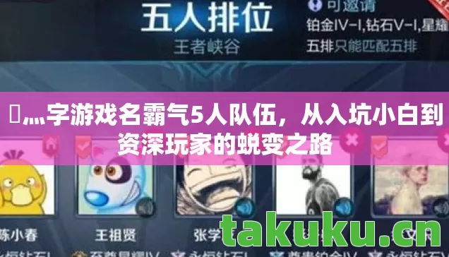 从入坑小白到资深玩家的蜕变之路图片