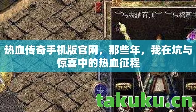 我在坑与惊喜中的热血征程图片